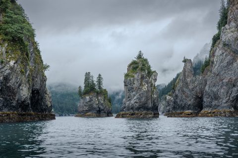 Tree-topped rock towers rising from calm water in a fog-shrouded fjord.