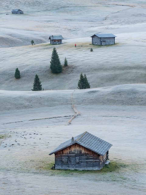 Wooden mountain huts scattered across a frost-covered alpine meadow with scattered pines.
