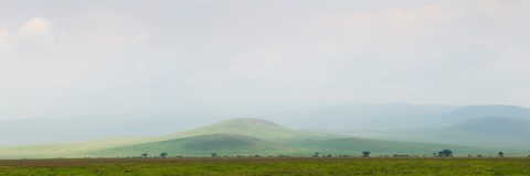 A wide, misty view across the green grassland floor of Ngorongoro Crater toward distant hills.